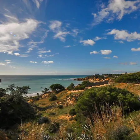 别墅 Casa Da Bia By Ocvillas 阿尔布费拉